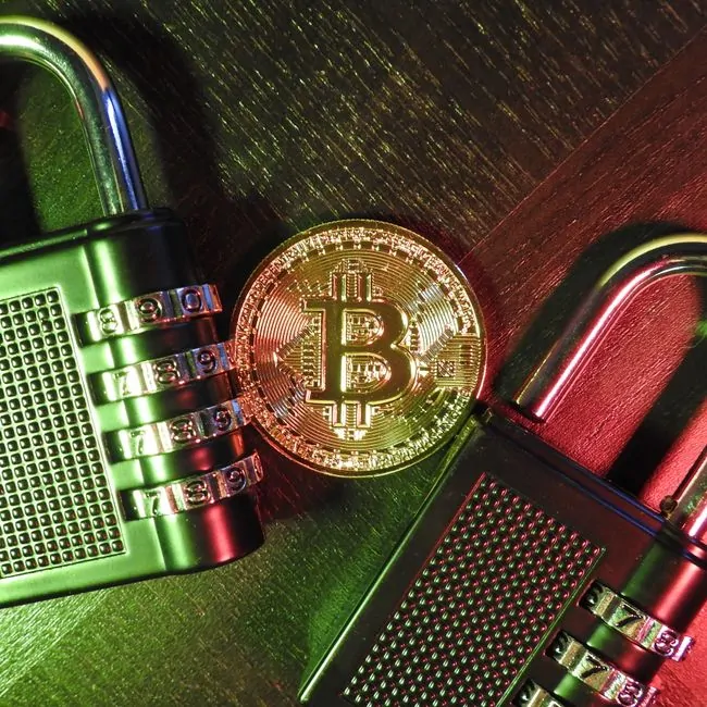 Side-by-side comparison of smartphone hot wallet and premium hardware wallet displaying Bitcoin security controls Side-by-side comparison of smartphone hot wallet and premium hardware wallet displaying Bitcoin security controls