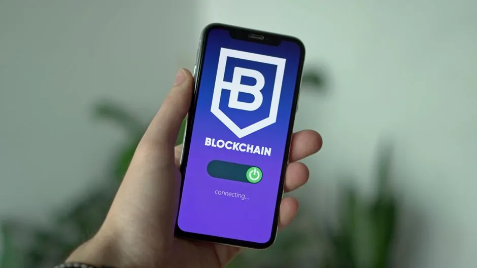 Split-screen illustration contrasting offline cold storage with an internet-connected hot wallet and DeFi applications Split-screen illustration contrasting offline cold storage with an internet-connected hot wallet and DeFi applications