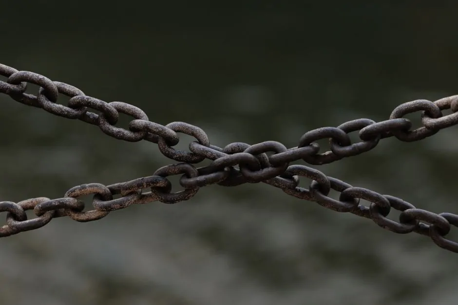Cross-chain bridge diagram linking NEAR Protocol applications with Bittensor TAO subnet services Cross-chain bridge diagram linking NEAR Protocol applications with Bittensor TAO subnet services